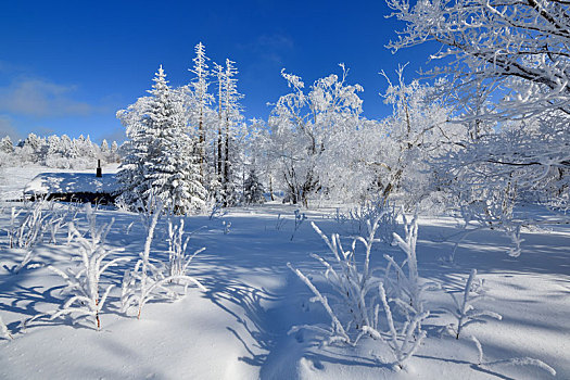 林海雪原中的小木屋