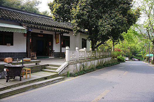 龙井村