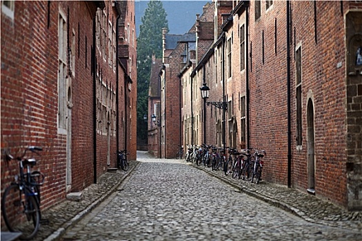 自行车,中世纪,街道
