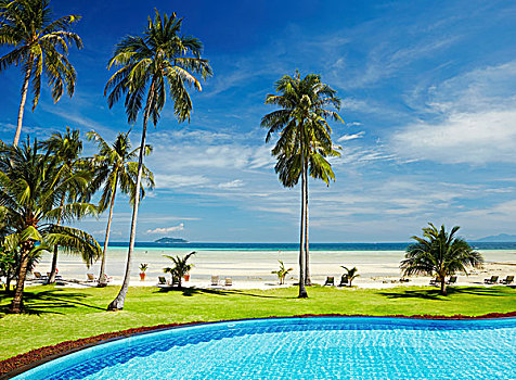热带沙滩,椰树,游泳池