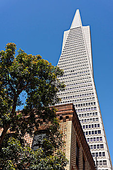 泛美大厦,商业,旧金山