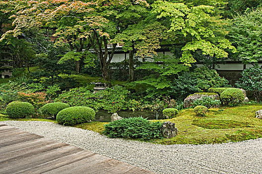 日本,京都,庙宇,花园