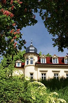 别墅,海德尔堡,德国