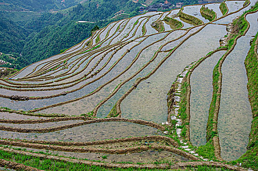 桂林梯田风光