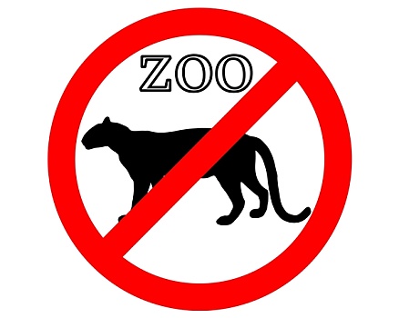 豹,动物园,禁止