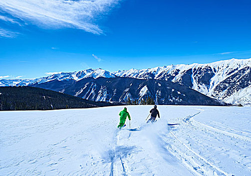 后视图,两个男人,滑雪,积雪,滑雪坡,白杨,科罗拉多,美国