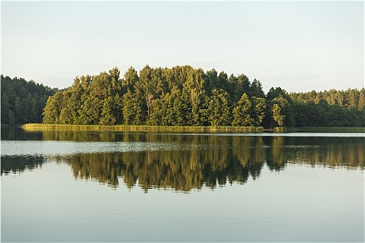 风景,树,天空,反射,湖