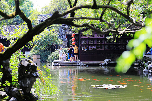 退思园,锦鲤池