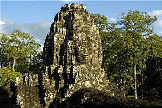 塔,石头,脸,庙宇,吴哥窟,树林,收获,柬埔寨