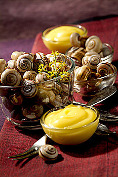 蒜泥蛋黄酱,蒜,蜗牛,主题,普罗旺斯