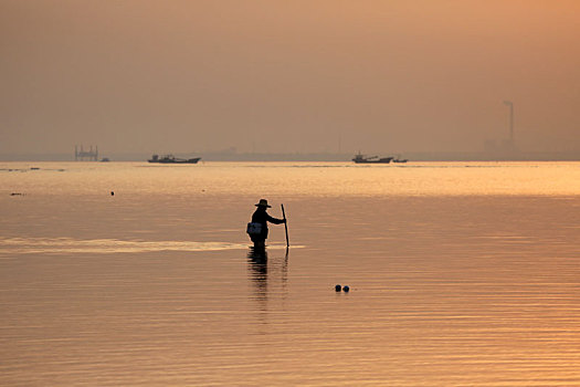 山东省日照市,渔民迎着第一缕阳光撒网捕鱼,赶海拾贝