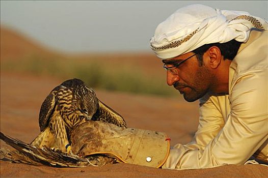 阿拉伯人,养鹰者,喂食,矛隼,荒芜,沙子,迪拜,团结,酋长国,中东