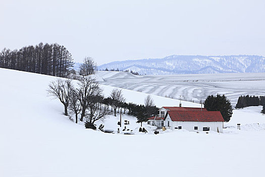 农事,区域,冬天