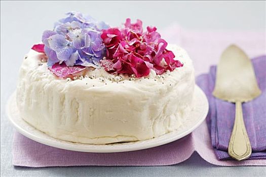 白色,蛋糕,装饰,花