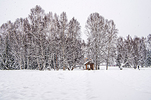 冬日,雪景,木屋,树林