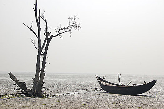 风景,岛屿,孟加拉,八月,2008年