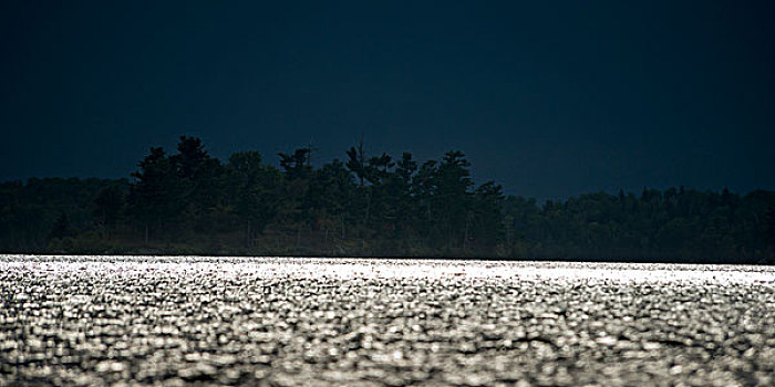月光,反射,湖,木头,安大略省,加拿大