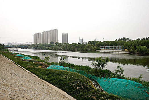 天津,道路,建筑