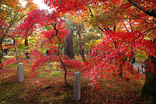 日本京都东福寺