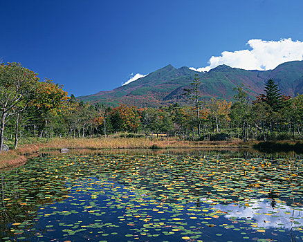 山脉,五个,湖