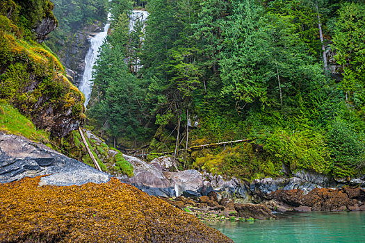溪流,瀑布,小湾,不列颠哥伦比亚省,加拿大
