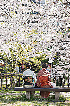 女人,衣服,和服,公园,京都,日本