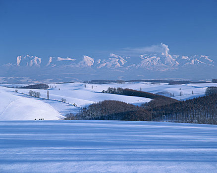 山,冬天