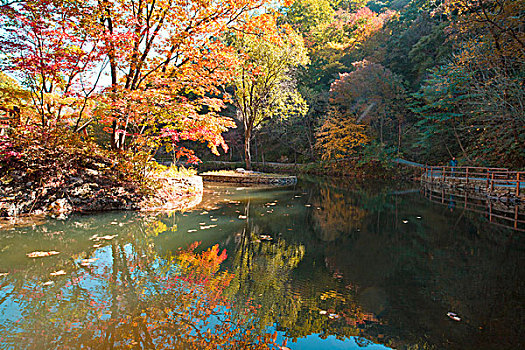 本溪,大石湖,景区,旅游,山坡,峡谷,山谷,植被,自然,风光,秋季,红叶,色彩,艳丽,湖水