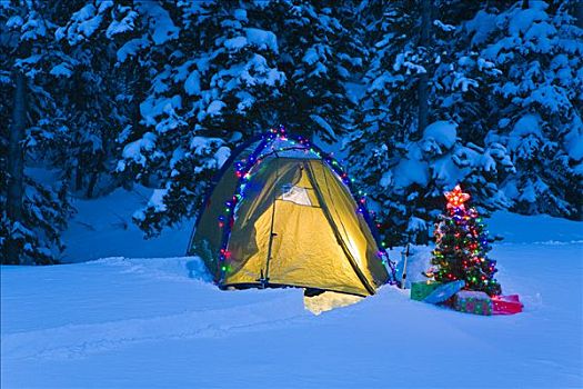装饰,露营,帐蓬,小,圣诞树,包装,户外,雪中,大台顿国家公园,怀俄明