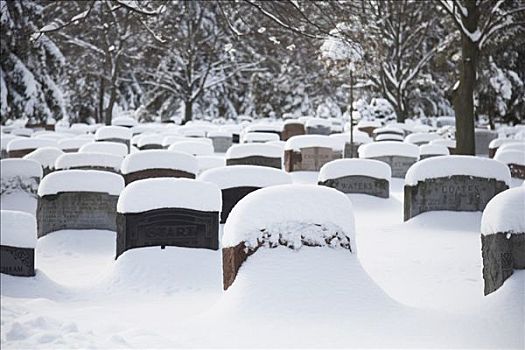 墓石,公园,草地,墓地,遮盖,初雪,多伦多,安大略省,加拿大