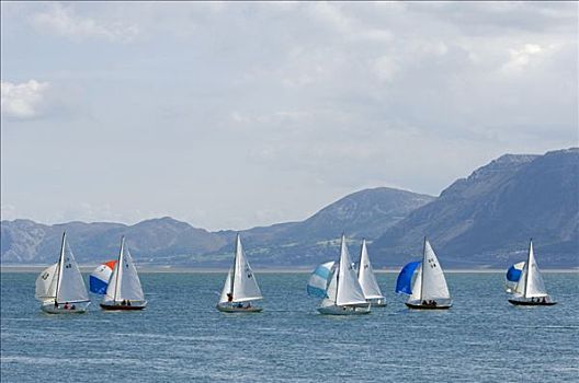 威尔士,安格尔西岛,小艇,比赛,赛舟会,背景,雪墩山,山峦