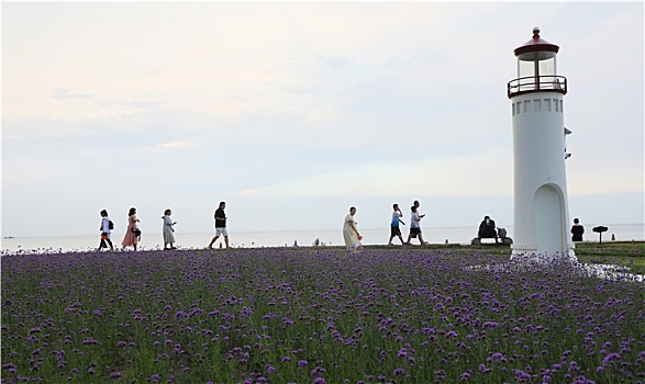 山东省日照市,雨后的海边空气清新,游客漫步海滨徜徉花海感受清凉