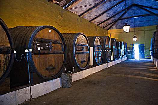 葡萄酒桶,葡萄酒厂,葡萄牙