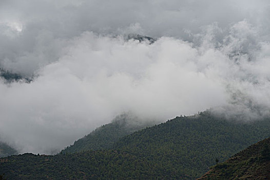 雾,上方,山,不丹,山谷,地区