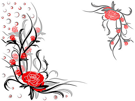 花,螺旋,明信片,红玫瑰