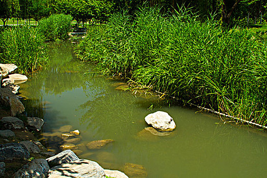 水沟