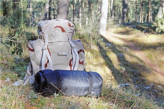 远足,背包,露营设备,木头