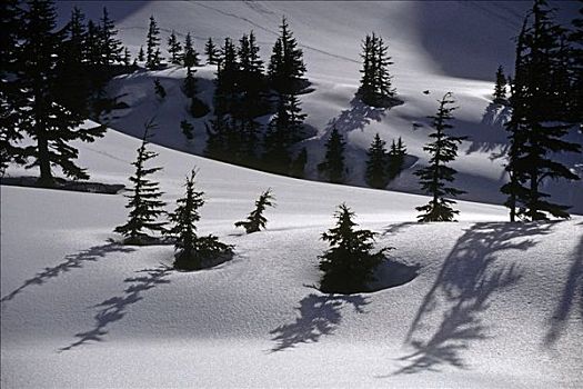 冬天,景色,高山,区域,东南阿拉斯加