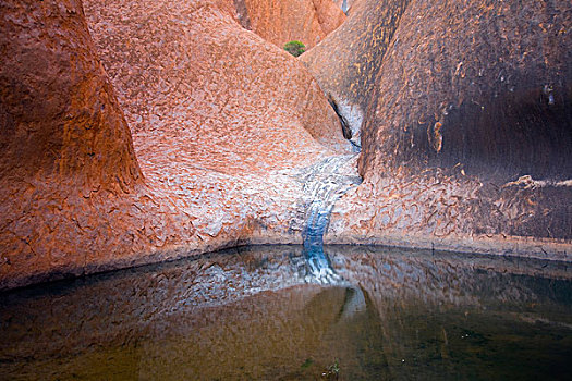 石头,水池,艾尔斯岩,澳大利亚