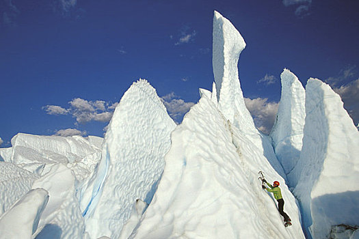 攀冰者,冰河,阿拉斯加,夏天