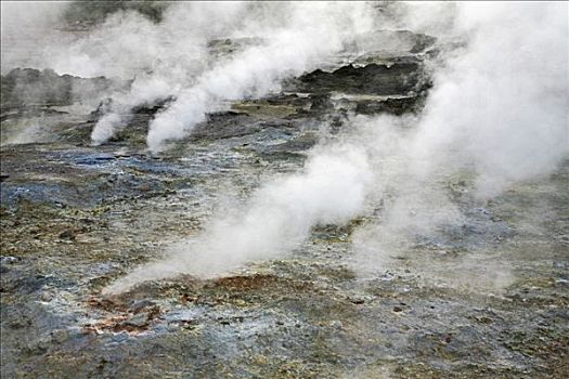 地热,区域,南方,冰岛,蒸汽,无数,洞,脆皮,欧洲