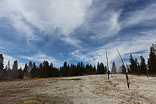 西拇指间歇泉盆地,枯树枝,黄石湖,喷泉口,特写,地热现象,蒸汽,雾气,草原,草地,蓝天,水,河流,岩石,山,黑松树,黄石国家公园,北美洲,美国,怀俄明州,风景,全景,文化,景点,旅游