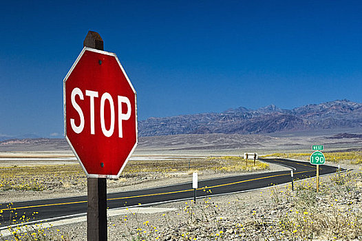 停车标志,美国,路线,死谷,加利福尼亚