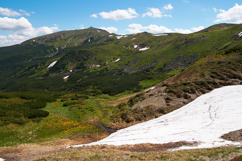 夏天_山_風景_雪_山坡_高清圖片_全景視覺