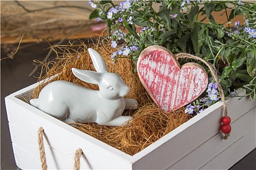 白色,兔子,心形,花,盒子