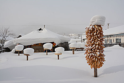 雪村人家