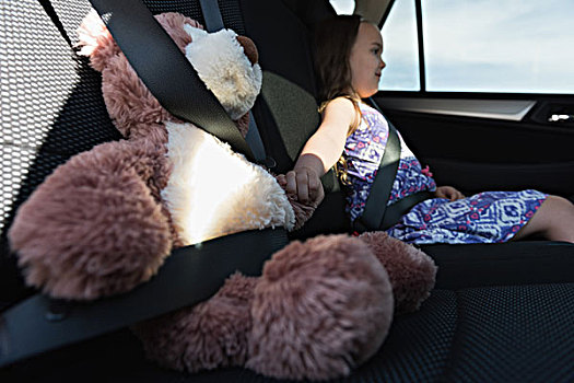 女孩,坐,泰迪熊,汽车,后座,可爱