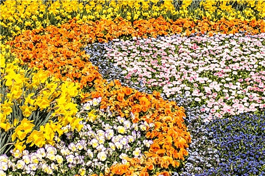 花,地毯