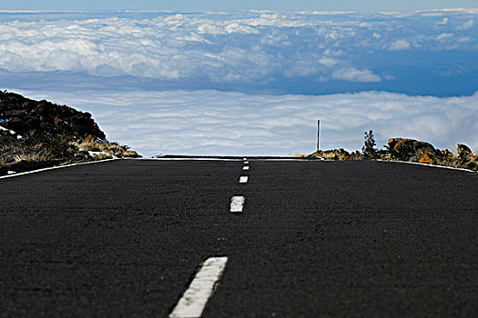 道路,高处,云,帕尔玛,圣克鲁斯-德特内里费,加纳利群岛