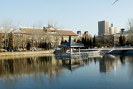 天津大学,南开大学